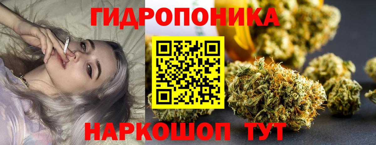 МАРИХУАНА план  Бошки марихуана Bruce Banner  Бошки Шишки VHQ  Касимов  Вход с VPN  МАРИХУАНА SATIVA & INDICA 